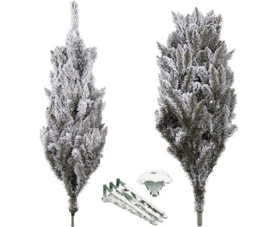 Пихта кавказская снежная Springos CT0125 220см