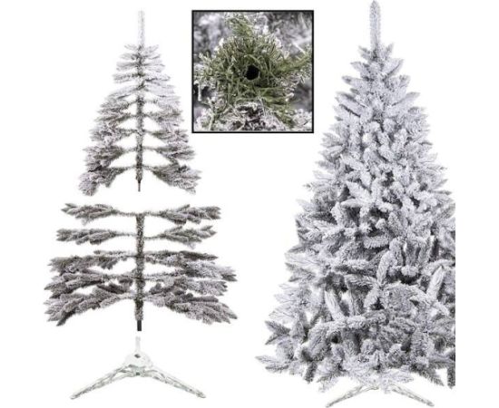 Пихта кавказская снежная Springos CT0125 220см