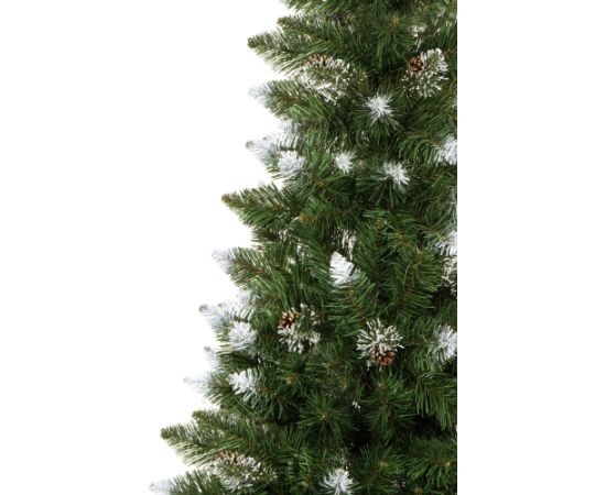 Ziemassvētku egle Springos CT0135  220cm