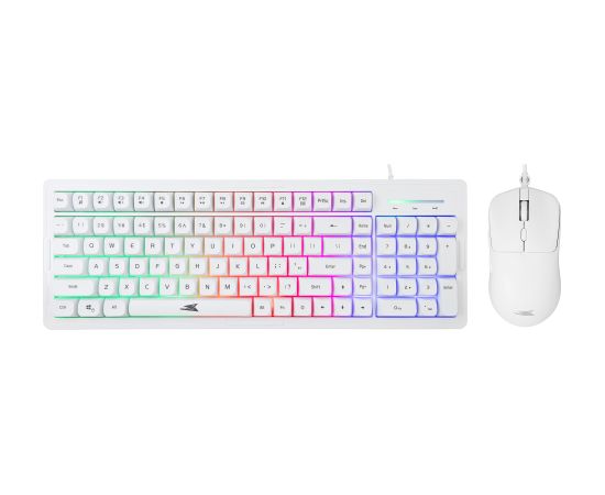 Baracuda BGC-012 Orca White Combo