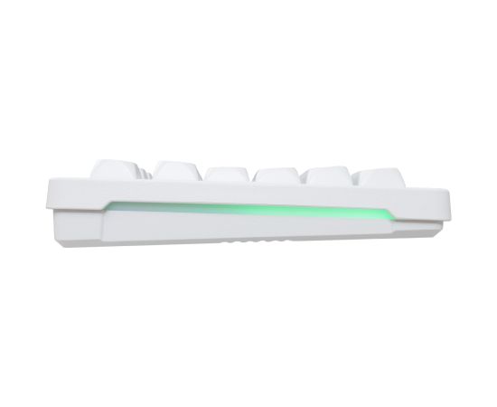 Baracuda BGC-012 Orca White Combo