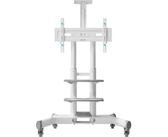 TV SET ACC MOBILE STAND/40-70"/WHITE TS1552-W ONKRON