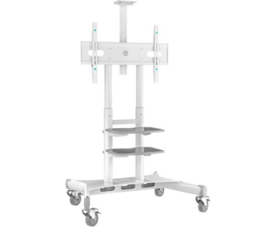 TV SET ACC MOBILE STAND/50-86"/WHITE TS1881-W ONKRON