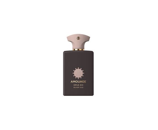 Amouage Opus XIII - Silver Oud EDP 100ml