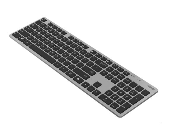 Asus W5000 Keyboard and Mouse Set Wireless Russian 2.4GHz