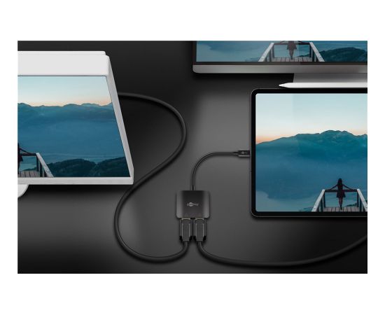 Goobay USB-C Adapter to 2x DisplayPort 60171