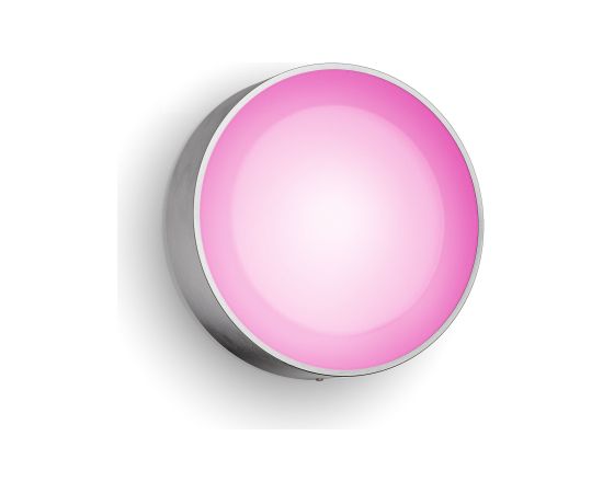 Philips Hue WCA Daylo Outdoor Wall Lantern, Inox 15 W 2000-6500 Hue White Colour Ambiance