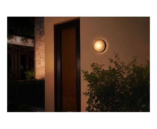 Philips Hue WCA Daylo Outdoor Wall Lantern, Inox 15 W 2000-6500 Hue White Colour Ambiance