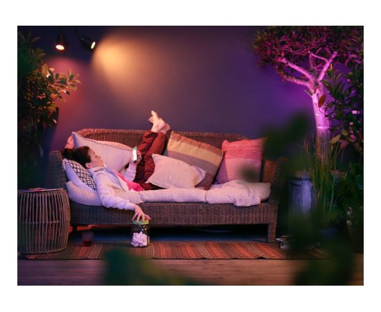 Philips Hue WCA Lily Outdoor Spot Light Extension 24V 8 W 2000-6500 Hue White Colour Ambiance