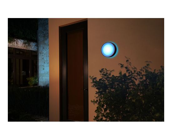 Philips Hue WCA Daylo Outdoor Wall Lantern, Black 15 W 2000-6500 Hue White Colour Ambiance