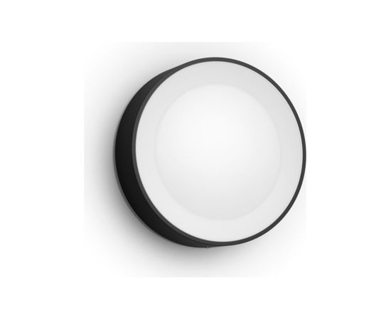 Philips Hue WCA Daylo Outdoor Wall Lantern, Black 15 W 2000-6500 Hue White Colour Ambiance