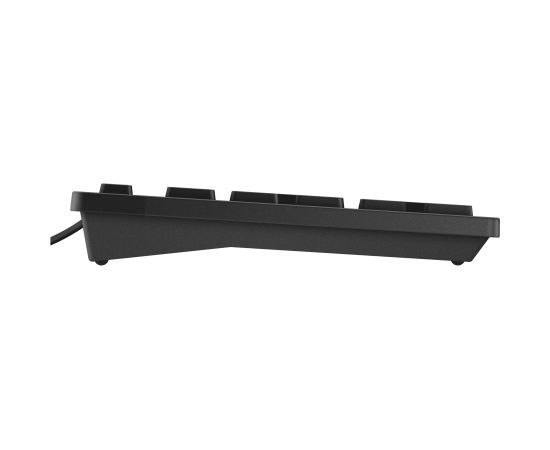 Dell Keyboard KB216 Multimedia Wired NORD Black