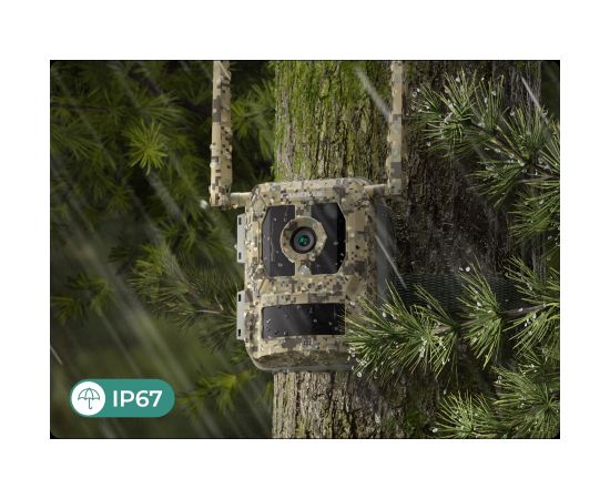 Reolink 4K 4G Cellular Trail Camera with Live Streaming Talon Series S130 Trail 8 MP 4mm/F1.6 IP67 H.265 MicroSD Card, up to 256 GB