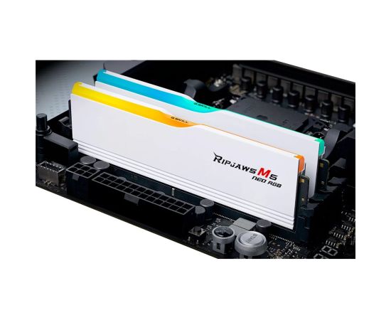 G.Skill Ripjaws M5 Neo RGB 32 GB DDR5 6000 MHz PC/server Registered No ECC No