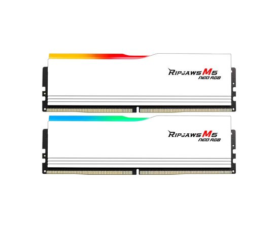G.Skill Ripjaws M5 Neo RGB 32 GB DDR5 6000 MHz PC/server Registered No ECC No