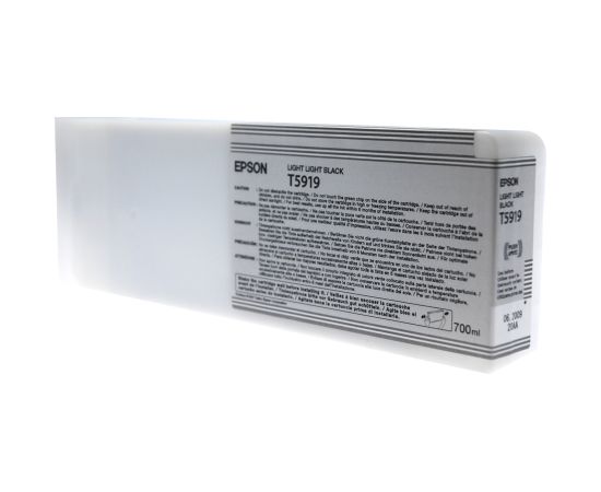 Epson T591900 Ink cartrige Light Light Black