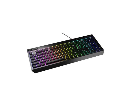 Klaviatūra Genesis Rhod 530 RGB ENG
