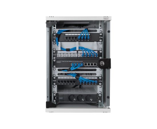 Digitus Wall-mounted housing 254 mm (10") DN-10-09U Grey 31.2 x 30 cm