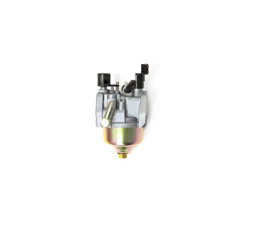Carburetor Assembly, MTD