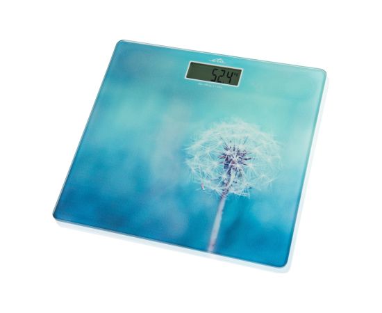 ETA Personal Scales ETA178090040 Breeze Maximum weight (capacity) 180 kg Accuracy 100 g Blue