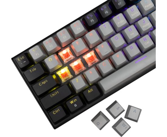 White Shark GK-002711V2  Wakizashi 2 Grey-Black US Red Switches
