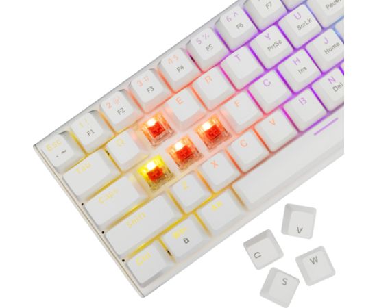 White Shark GK-002211V2  Wakizashi 2 White US Red Switches