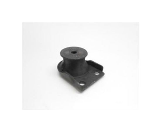 Cushion CS-3000 CS-303T, Echo
