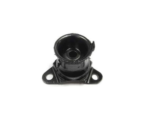 Cushion CS-3000 CS-303T, Echo