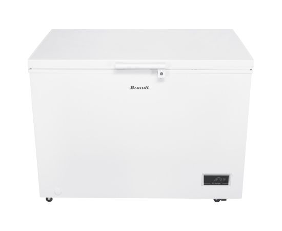 Deep freeze Brandt BFK301ESW