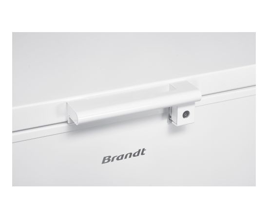 Deep freeze Brandt BFK301ESW