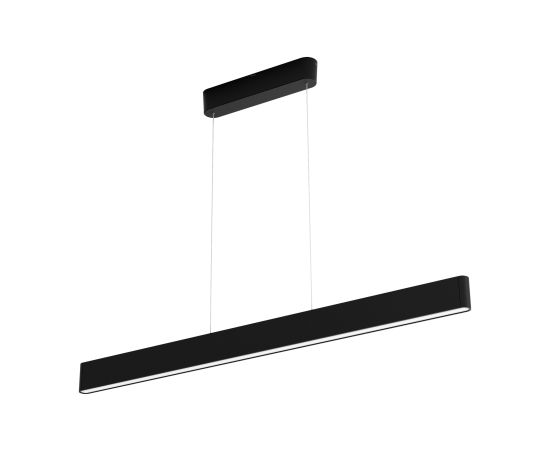 Philips Hue Ensis pendant black 79W 24V 79 W White and Colour Ambiance 2000-6500K