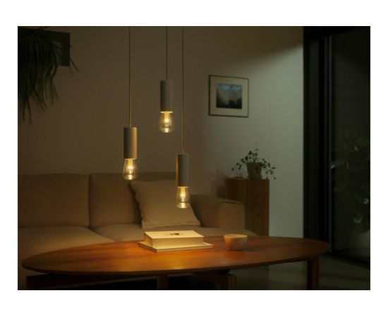 Philips Hue WCA Lightguide ST72 E27 6.8 W White and colour light Viedās lampas un spuldzes Philips Hue WCA Lightguide ST72 E27 6.8 W White and colour light Viedās lampas un spuldzes