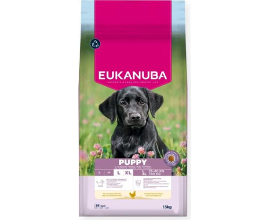 EUKANUBA Puppy Large rich in chicken 15kg