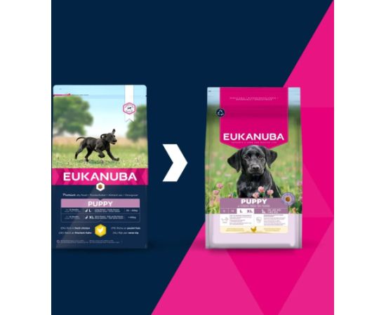 EUKANUBA Puppy Large rich in chicken 15kg