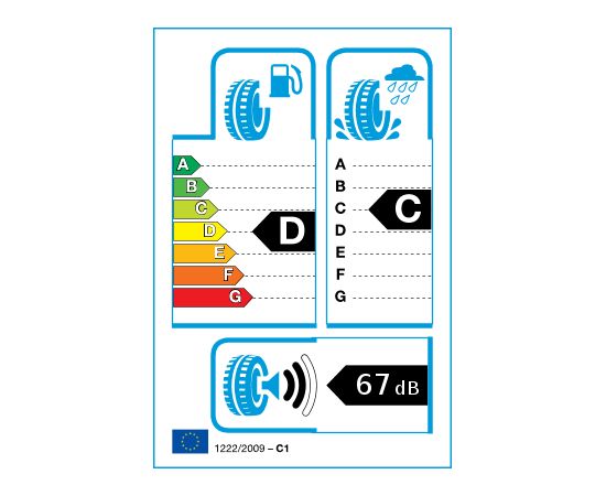 Firemax FM805+ 225/55R16 99H Ziemas riepas