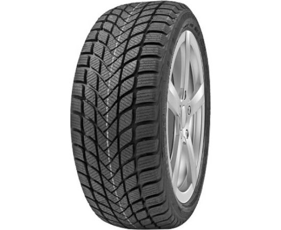 Delinte Winter WD6 205/55R17 95H Ziemas riepas