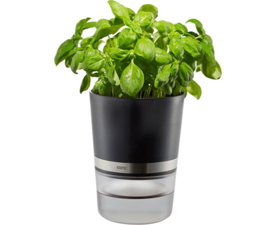 GEFU BOTANICO Herb pot Freestanding Plastic, Stainless steel Black Naži