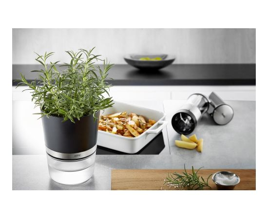 GEFU BOTANICO Herb pot Freestanding Plastic, Stainless steel Black Naži
