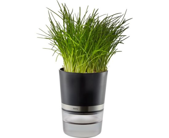 GEFU BOTANICO Herb pot Freestanding Plastic, Stainless steel Black Naži