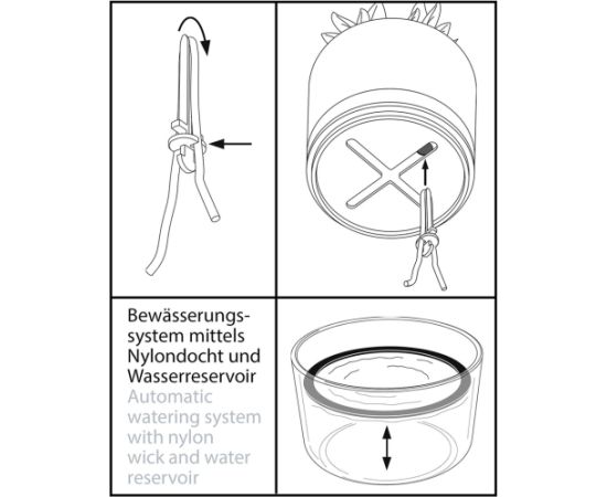 GEFU BOTANICO Herb pot Freestanding Plastic, Stainless steel Black Naži