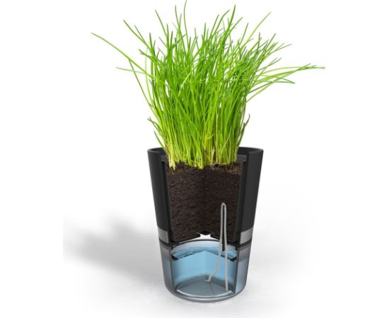 GEFU BOTANICO Herb pot Freestanding Plastic, Stainless steel Black Naži