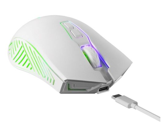 WIRELESS MOUSE DEFENDER PANDORA RF WHITE 3200dpi 7P