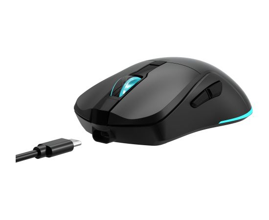 Baracuda BGM-121 Turtle Black