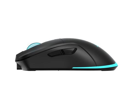 Baracuda BGM-121 Turtle Black