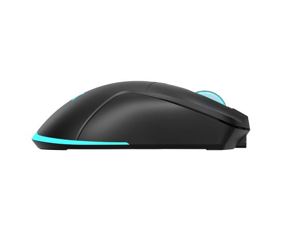 Baracuda BGM-121 Turtle Black