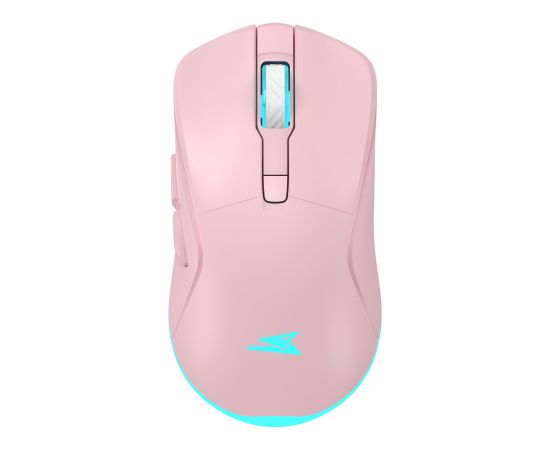 Baracuda BGM-124 Turtle Pink