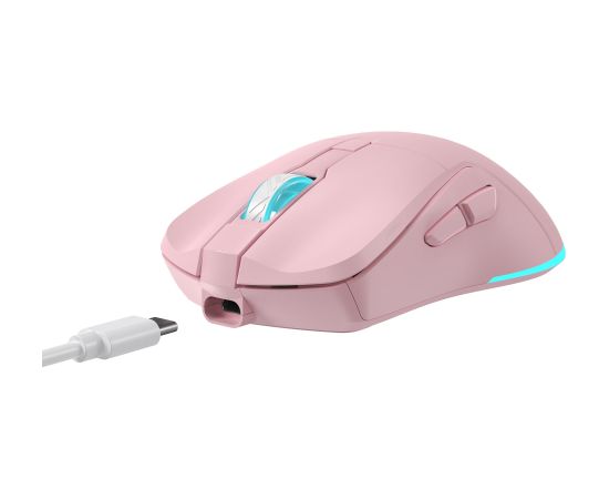 Baracuda BGM-124 Turtle Pink