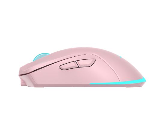 Baracuda BGM-124 Turtle Pink