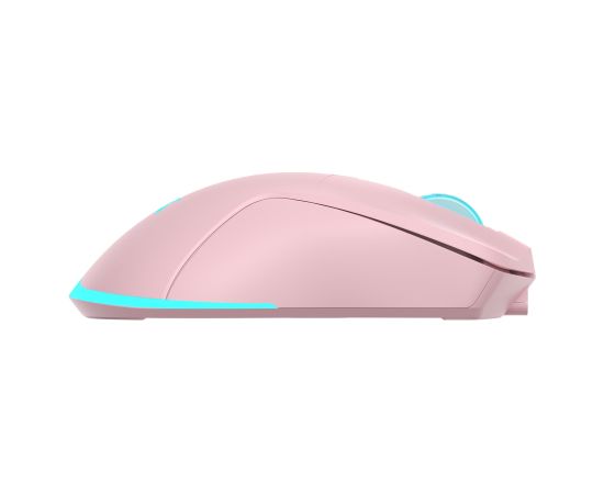 Baracuda BGM-124 Turtle Pink