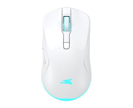 Baracuda BGM-122 Turtle White